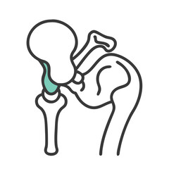 Human anatomy hip joint illustration with modern minimal design