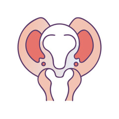 Graphical uterus diagram illustration on black backdrop design element