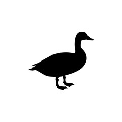 duck silhouette vector on white background
