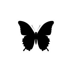 butterfly silhouette vector , butterfly isolated on white background