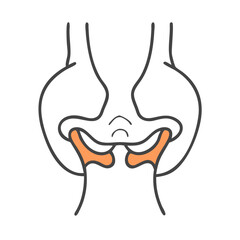 Anatomical vector illustration of the jaw area highlighted in orange