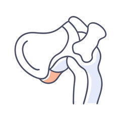 Simplified illustration of a shoulder joint anatomy diagram
