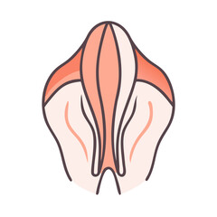 Stylized abstract coral reef organism with light colors art