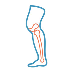 Outline of human leg with bones on black background