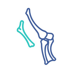 Human knee joint bones illustration on black background anatomy