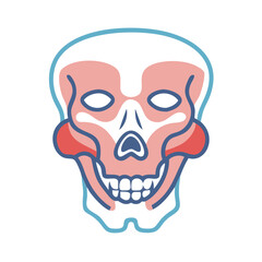 Modern skull illustration with bold colors and design features