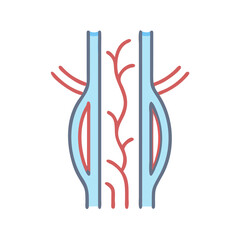 Stylized illustration of blood vessels and capillaries on black