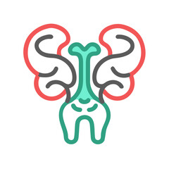 Abstract kidney anatomy illustration on black background, vector design