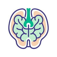 Stylized walnut illustration depicting health and wellness concept design