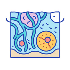 Cross section illustration depicting skin cells and tissue layer
