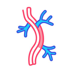 Stylized diagram of pulmonary veins and artery on black