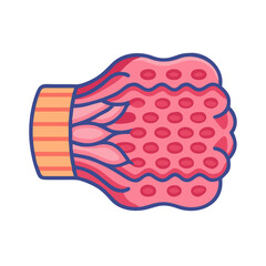 Stylized muscle tissue with blood vessels vector illustration isolated