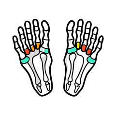 Obraz premium Abstract colorful bones concept on black background graphic artwork