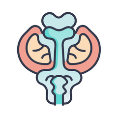 Simple stylized vector illustration of kidneys and adrenal glands