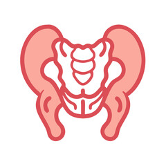 Pelvic girdle vector illustration on black background for anatomy