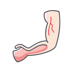 Cartoon muscular arm showing biceps on black background isolated