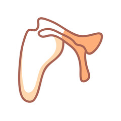 Minimalist graphic of shoulder bone on a black background