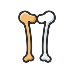 Illustration of two long bones in different colors