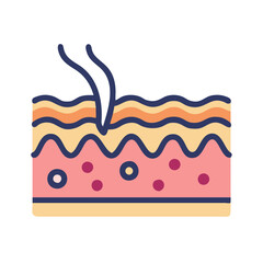 Simplified skin section diagram showing hair follicle penetration