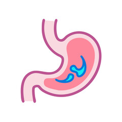 Simple stomach diagram showcasing internal biology on black background