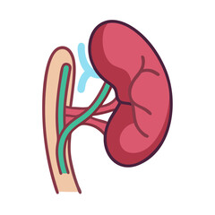 Cartoon kidney and renal system illustration on black backdrop