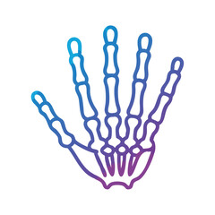 Fototapeta premium Isolated outline of human hand bones on black background