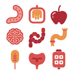 Illustration of various human internal organs and their functions