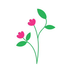 Three pink flowers with green leaves on a white background vector illustration