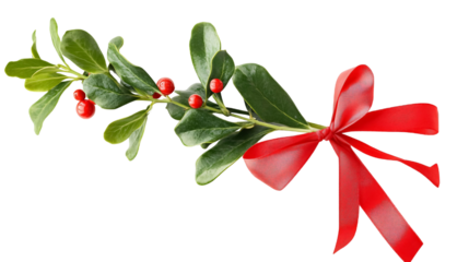 Mistletoe Bow for Holiday Tradition and Decor - Isolated on White Background