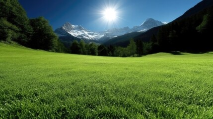 Obraz premium Lush green meadow stretches beneath majestic snow-capped mountains on a sunny day. A vibrant landscape of nature's beauty