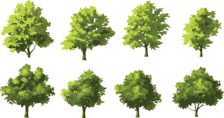 Eight Green Tree Illustrations Vector Set