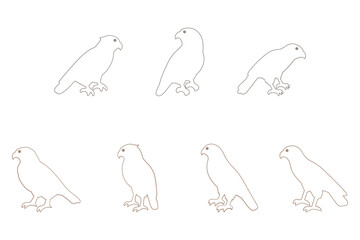 Hawk Bird Outline Icon Set