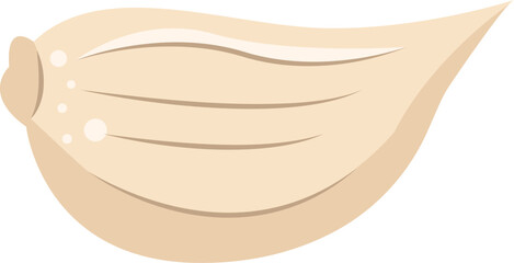 flat onion ilustration and graphic