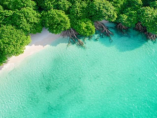 Fotobehang Tropical Beach Aerial View (3) © kang