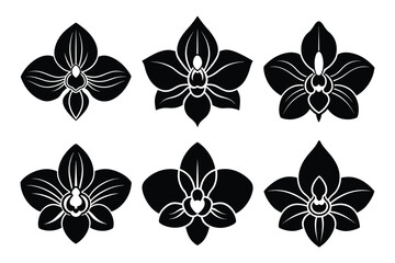Orchid vector flower icon silhouette set isolated on white background