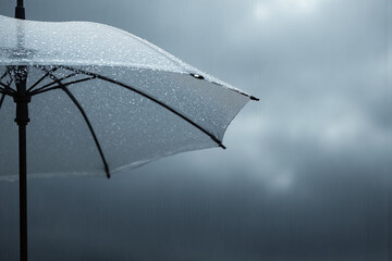 person holding an umbrella in the rain 2