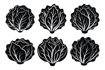 Whole fresh cabbage vegetable icon silhouette set vector illustration design. cabbage with a leaf