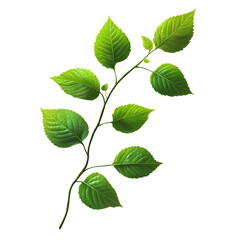 Fototapeta premium Lush Green Branch Isolated on Black Background