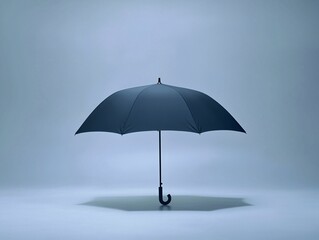 Closed Black Umbrella