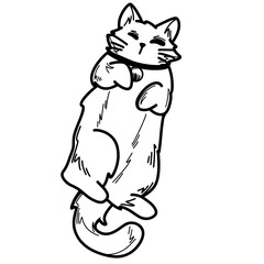 Cute cat doodle 