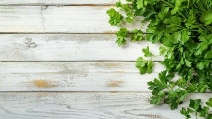 Fresh Parsley on a White Wooden Background