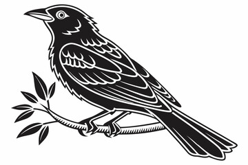 tanager sihouette black vector white