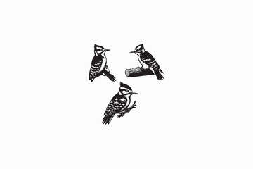 Downy Woodpecker bird vector silhouette image adobe illustrator.eps
