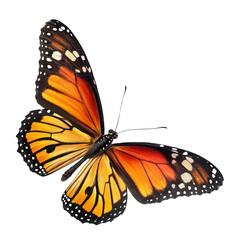 Naklejka premium butterfly flying png fluttering butterfly png winged insect png pollinator in flight png transparent background image
