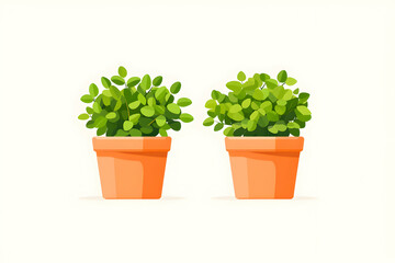 Fototapeta premium Two Terracotta Pots With Green Plants On White Background