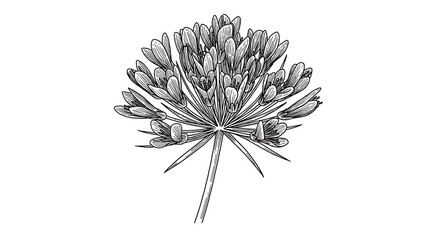 Ink Bloom's Whisper AI Generated