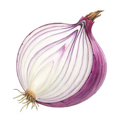 fresh whole onion png unpeeled onion bulb png cooking vegetable png white onion png kitchen staple png transparent background image