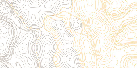 Abstract Topographic Contour Line Pattern. 