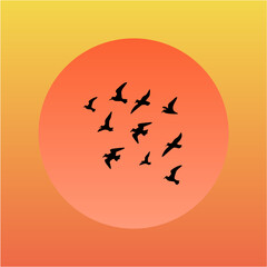 Sunset Sky with Flying Birds. Nature Silhouette Vector Illustration