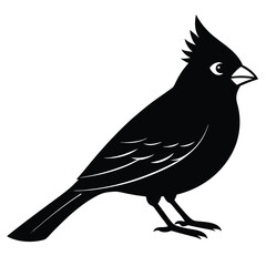 Obraz premium Cardinal vector shilhouette single collection